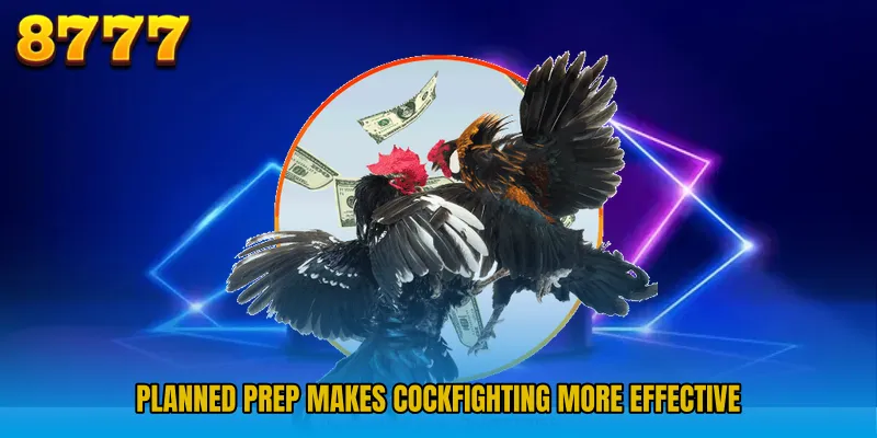 Planned prep makes Cockfighting more effective